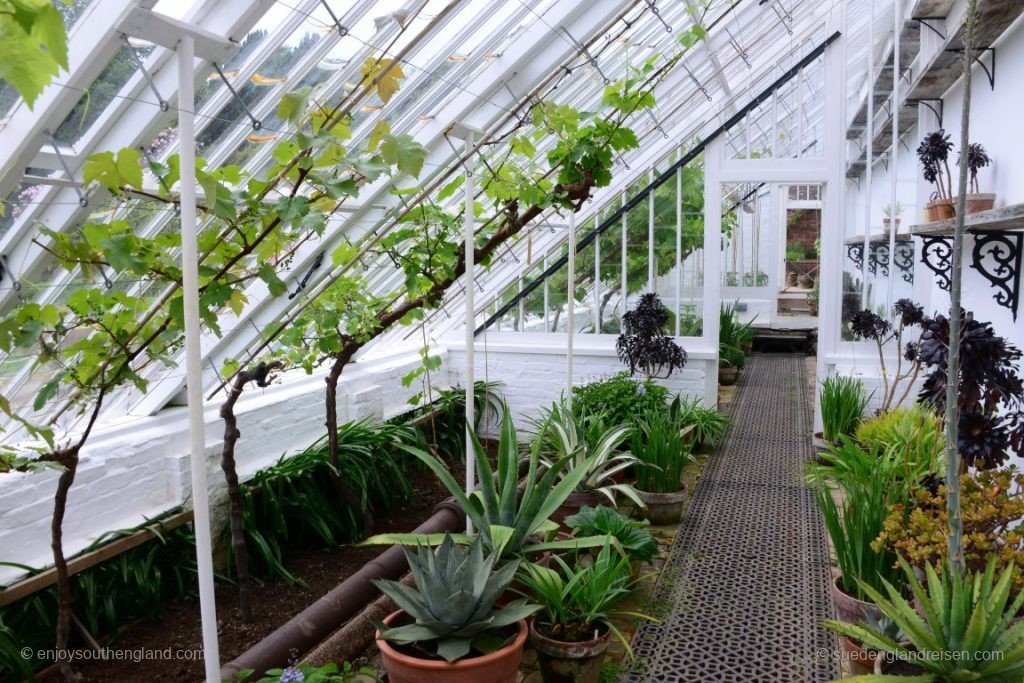 Gewächshaus ("Glass House") in den Lost Gardens of Heligan (Cornwall)