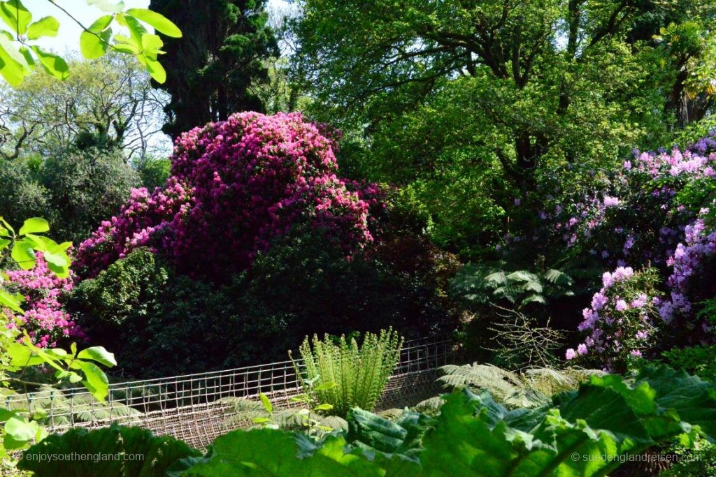 in den Lost Gardens of Heligan (Cornwall)