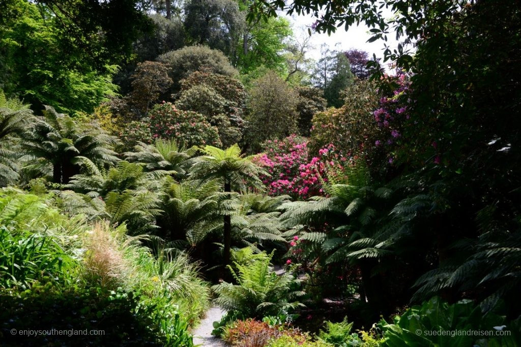 im Trebah Garden (Cornwall)