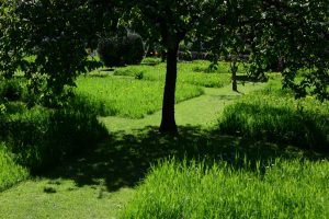 Westbury Court Garden