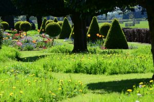 Westbury Court Garden