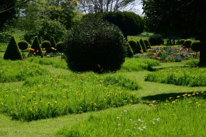 Westbury Court Garden