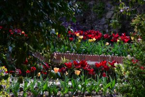 Bodnant Garden