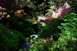 Bodnant Garden