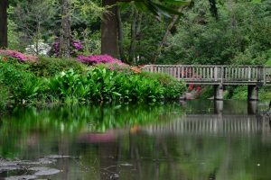 Bodnant Garden