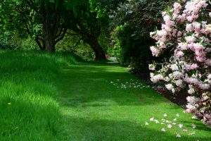 Bodnant Garden