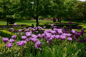 Bodnant Garden