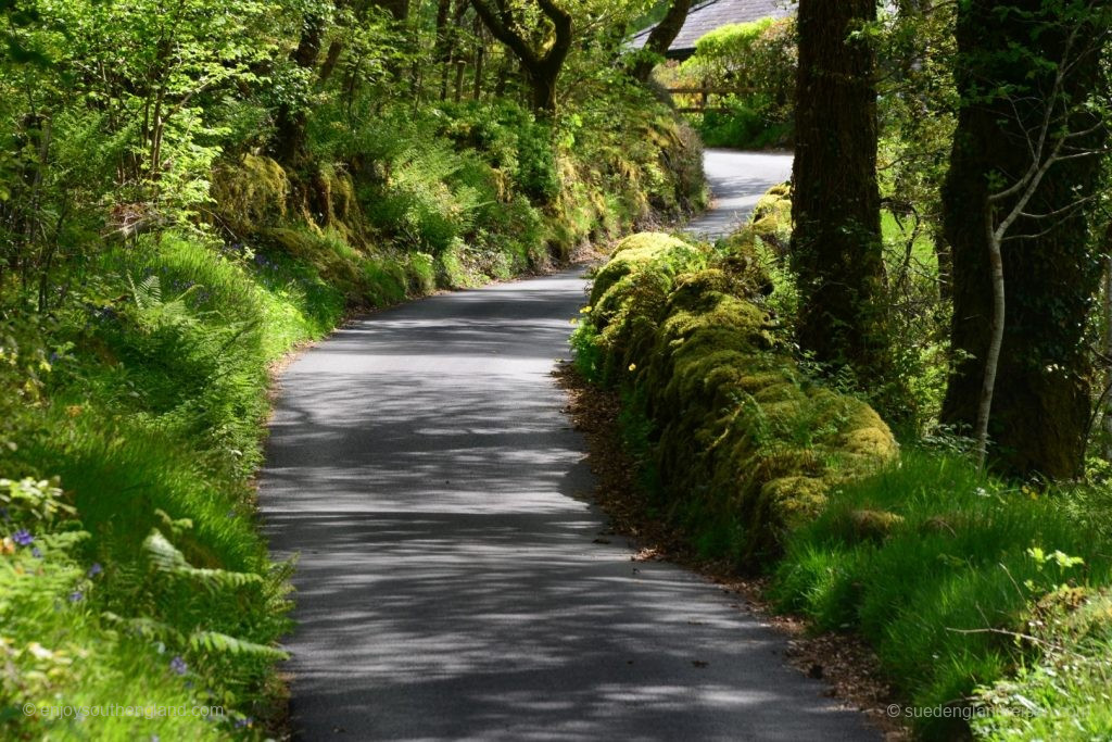 schmale Straßen im Gwydir Forest 