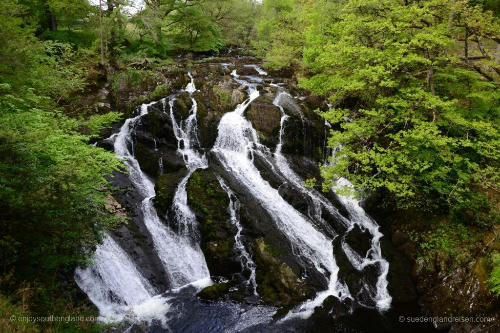 Swallow Falls