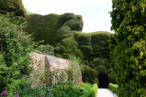 Die Hecken von Powis Castle