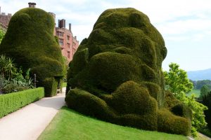 Die Hecken von Powis Castle