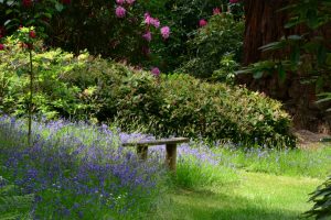 im Garten von Powis Castle