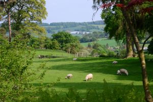 Hergest Croft Garden