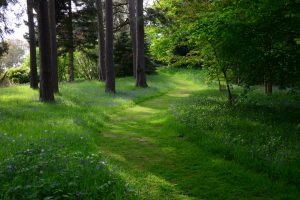 Hergest Croft Garden