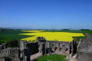 Raglan Castle