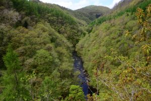 Mynach Falls