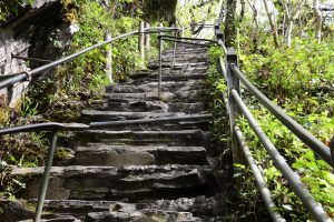 Mynach Falls