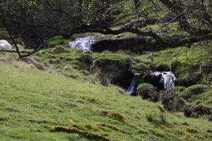 im Elan Valley