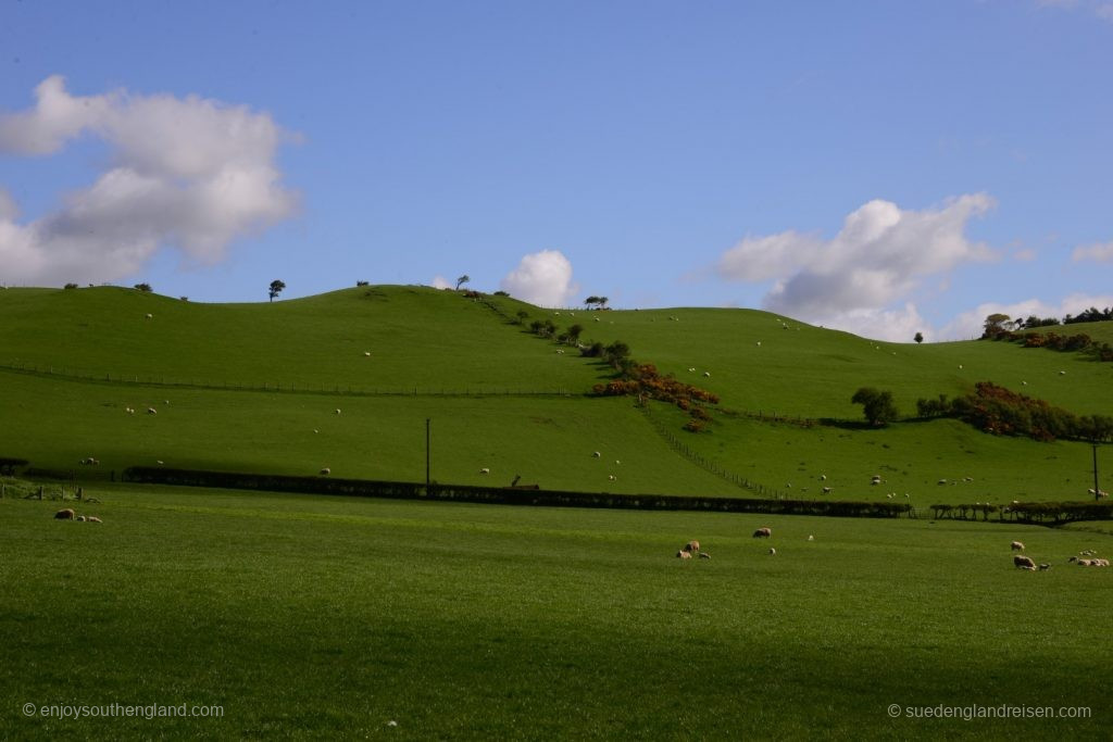 Walisische Landschaft nördlich von Aberystwyth