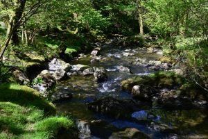 Wanderung bei den Dolgoch Falls