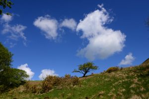 Wanderung bei den Dolgoch Falls