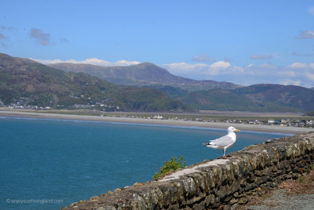 Blick auf den Estuary